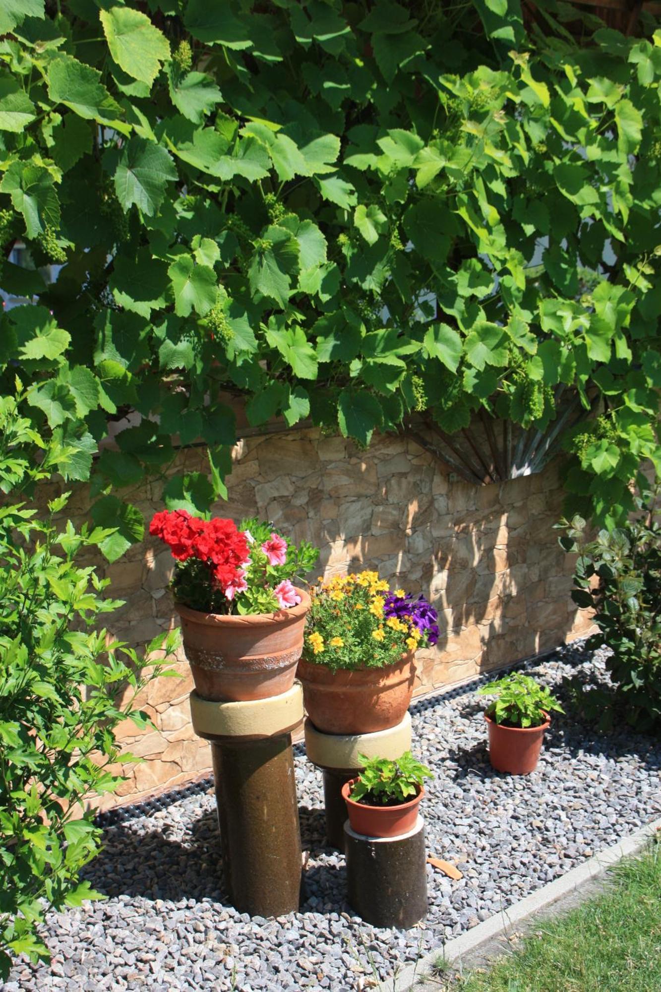 Fewo Am Geyersberg Oberschöna Buitenkant foto