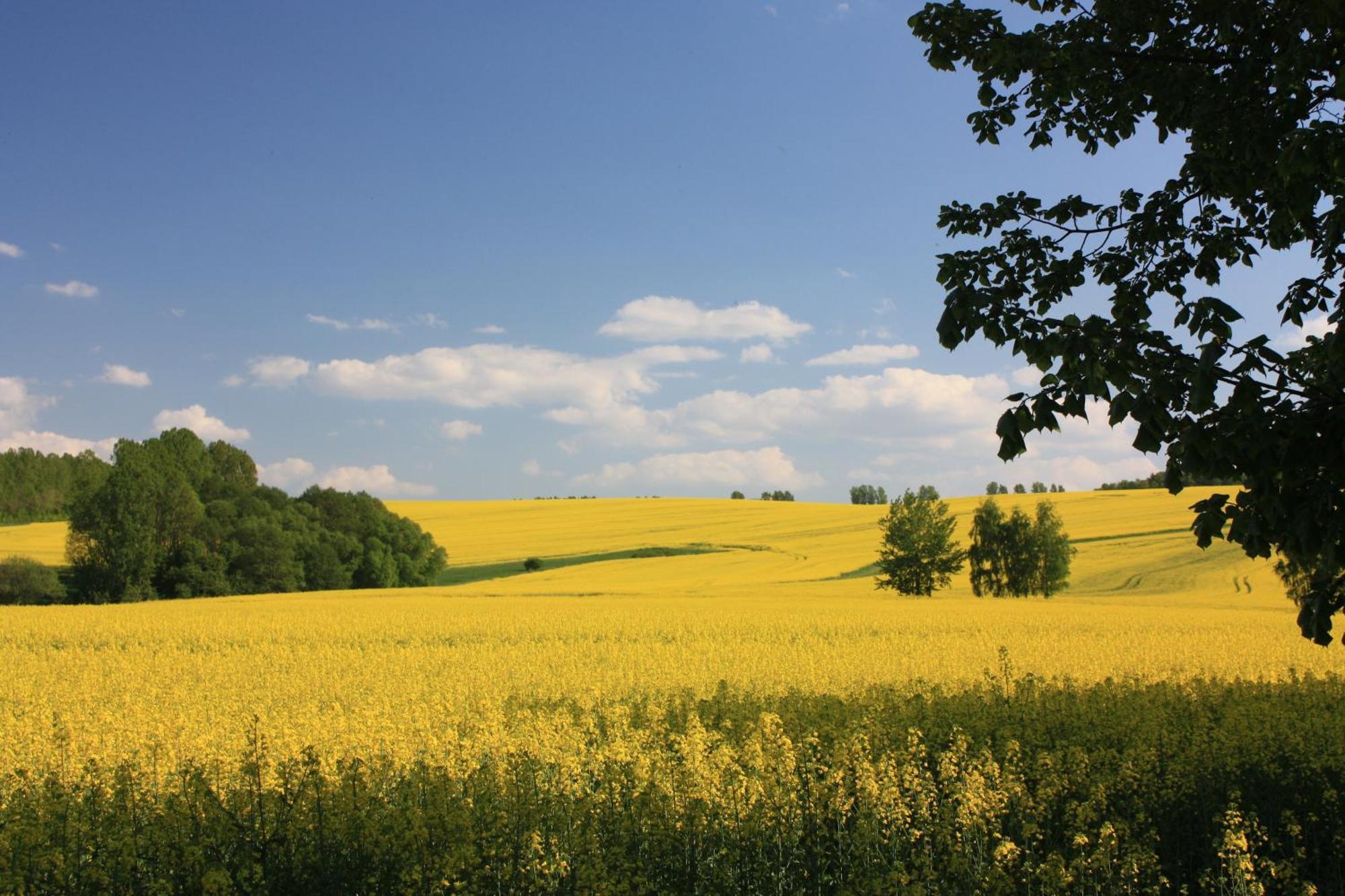 Fewo Am Geyersberg Oberschöna Buitenkant foto