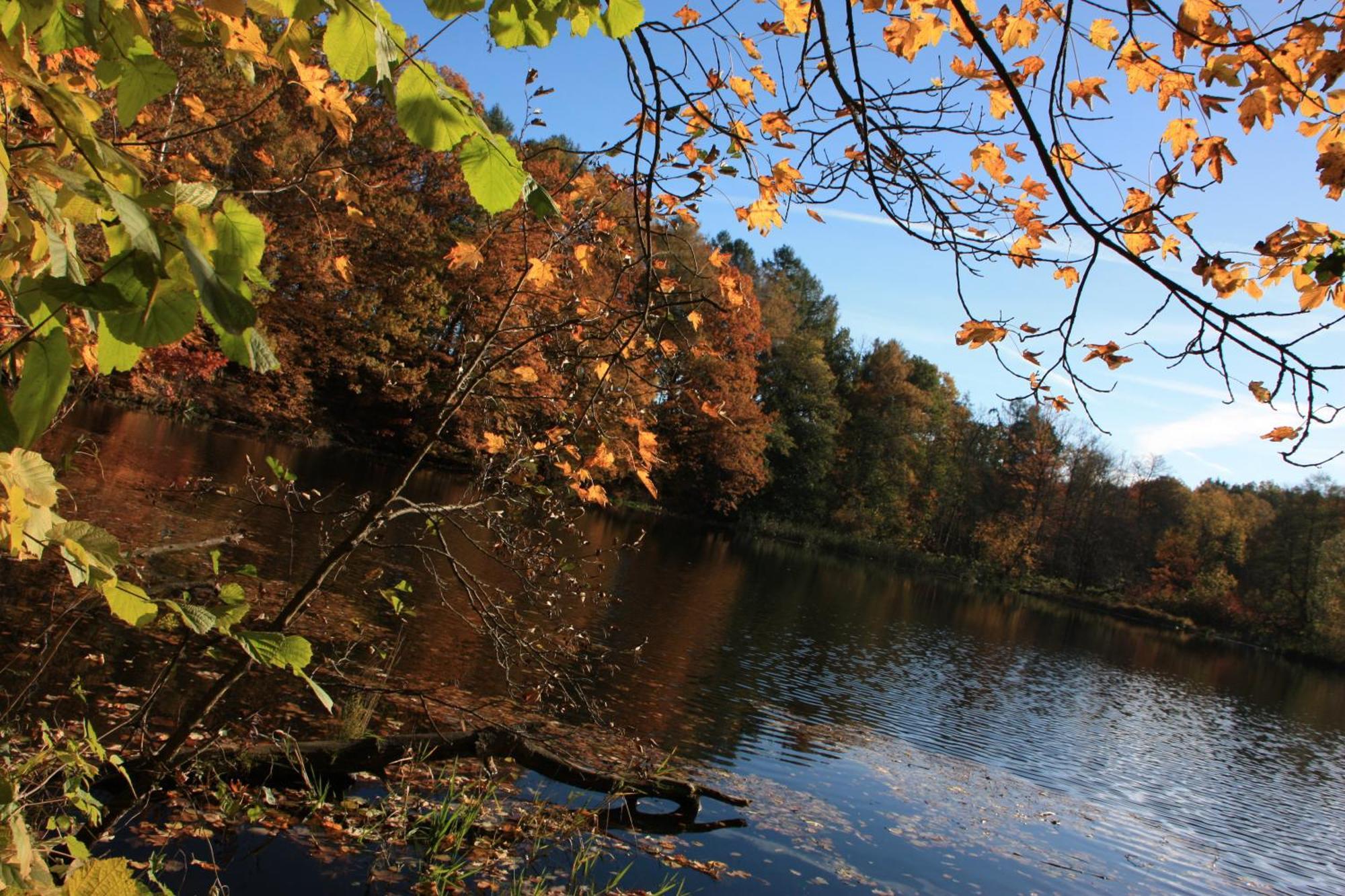 Fewo Am Geyersberg Oberschöna Buitenkant foto